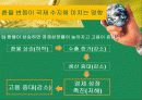 환율과국제수지(통합) 28페이지