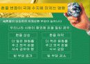 환율과국제수지(통합) 29페이지