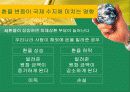 환율과국제수지(통합) 30페이지
