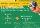 환율과국제수지(통합) 31페이지