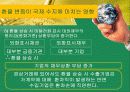 환율과국제수지(통합) 32페이지