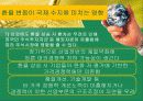 환율과국제수지(통합) 34페이지