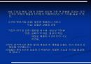 후발기업의 전략과 성공사례 5페이지