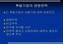 후발기업의 전략과 성공사례 7페이지