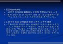 후발기업의 전략과 성공사례 13페이지