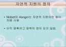 지원고용과 자연적 지원 6페이지