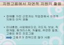 지원고용과 자연적 지원 16페이지