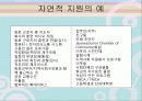지원고용과 자연적 지원 20페이지