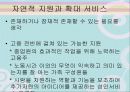 지원고용과 자연적 지원 34페이지