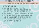 지원고용과 자연적 지원 39페이지