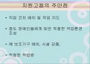 지원고용과 자연적 지원 48페이지