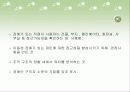 중증장애인을 위한 직장 생활의 기업 지원과 멘토링 13페이지