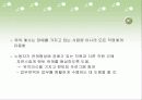 중증장애인을 위한 직장 생활의 기업 지원과 멘토링 23페이지