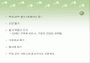 중증장애인을 위한 직장 생활의 기업 지원과 멘토링 25페이지