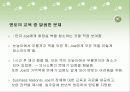 중증장애인을 위한 직장 생활의 기업 지원과 멘토링 29페이지