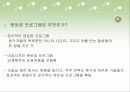 중증장애인을 위한 직장 생활의 기업 지원과 멘토링 42페이지