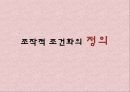 조작적조건화 3페이지