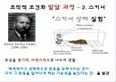 조작적조건화 8페이지