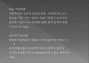 신문과 저널리즘의 문화 26페이지