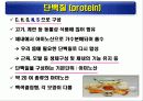 단백질(rotein)에 대하여 2페이지