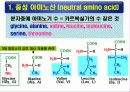 단백질(rotein)에 대하여 6페이지