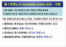단백질(rotein)에 대하여 10페이지