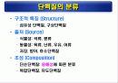 단백질(rotein)에 대하여 15페이지