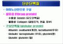 단백질(rotein)에 대하여 16페이지