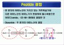 단백질(rotein)에 대하여 22페이지
