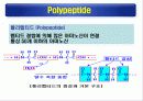 단백질(rotein)에 대하여 23페이지