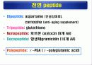 단백질(rotein)에 대하여 24페이지