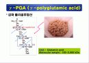 단백질(rotein)에 대하여 26페이지
