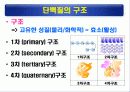 단백질(rotein)에 대하여 27페이지