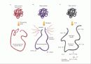 단백질(rotein)에 대하여 35페이지