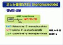 단백질(rotein)에 대하여 40페이지