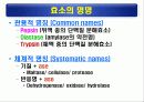 단백질(rotein)에 대하여 45페이지