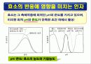 단백질(rotein)에 대하여 51페이지