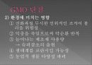 유전자 변형 농산물  10페이지
