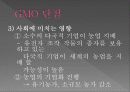 유전자 변형 농산물  11페이지