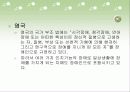 치매에 대해서 24페이지