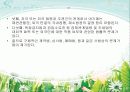 법률적_환경 7페이지