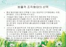 법률적_환경 10페이지