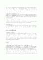 글로벌기업의 현지화 전략(기업의 사례연구를 중심으로) 8페이지