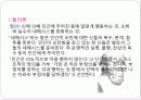 에린 브로코비치 완성본1 10페이지