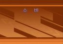 소비 프레젠테이션[1] 1페이지