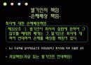 주식회사 설립의 주식회사 설립의 책임과 무효  12페이지
