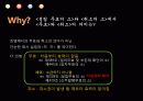 주식회사 설립의 주식회사 설립의 책임과 무효  29페이지