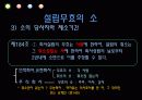 주식회사 설립의 주식회사 설립의 책임과 무효  32페이지