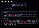 주식회사 설립의 주식회사 설립의 책임과 무효  35페이지