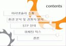 미리넷솔라PPT자료 2페이지